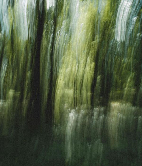 Abstract green landscape representing mental focus and natural balance